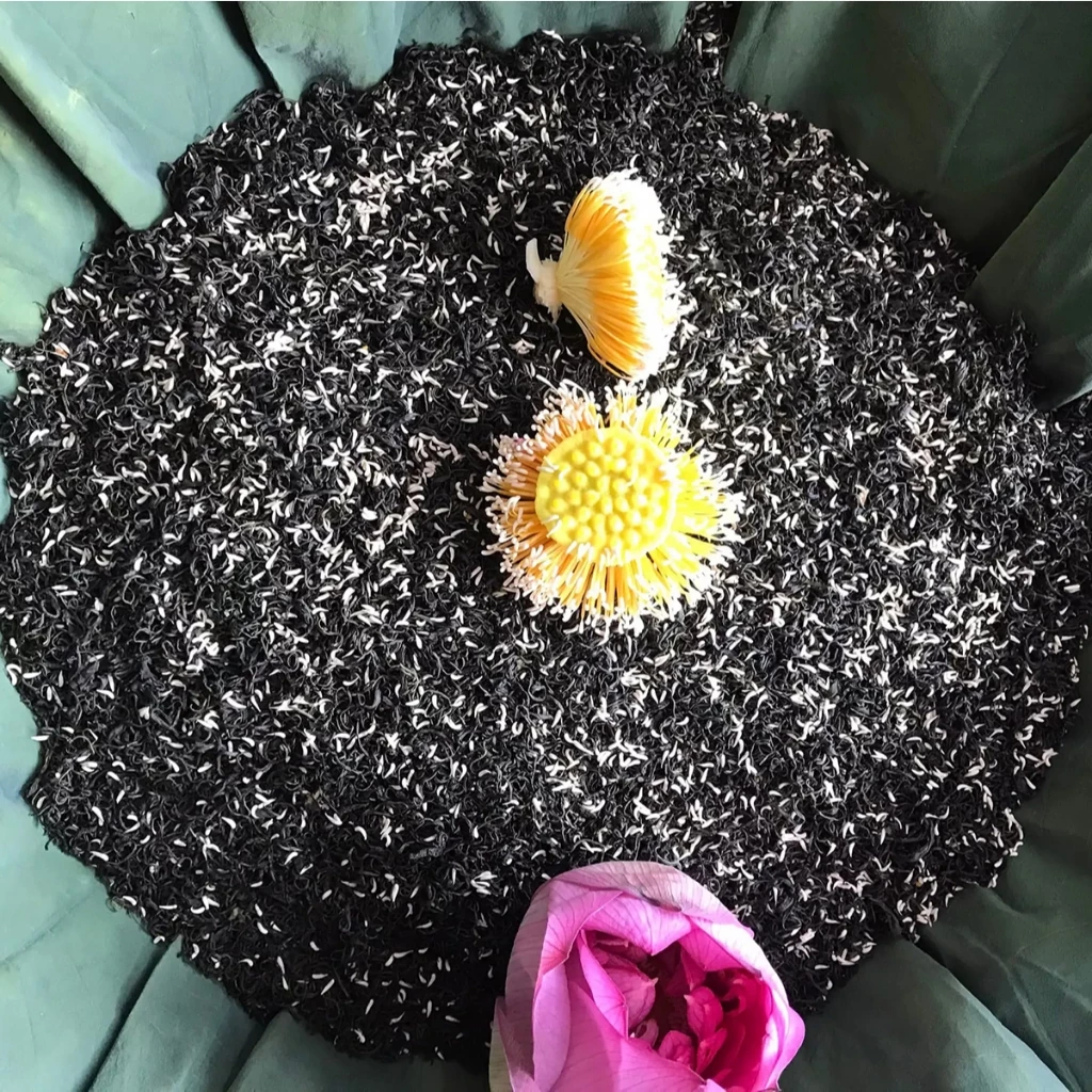 vn-11134207-7ra0g-m8h2z0hyffqm44 (1)