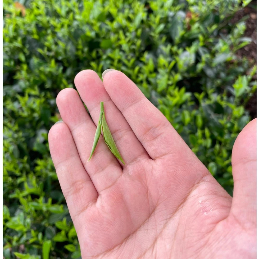 vn-11134207-7ra0g-m8h2z0hygub2b5