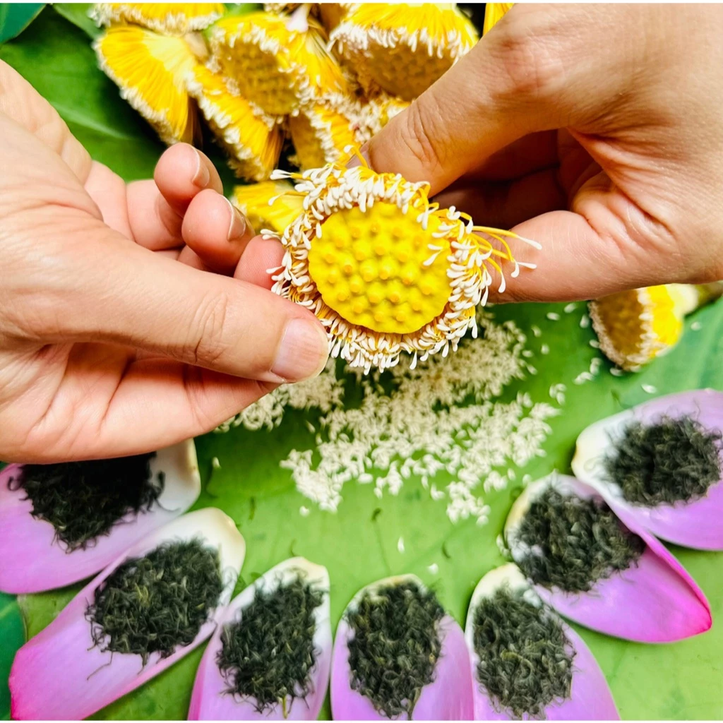 vn-11134207-7ra0g-m8h2z0i8f153b1